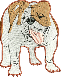 English Bull Dog-English bull dog, dogs, bull dog, machine embroidery design, embroidery designs, 