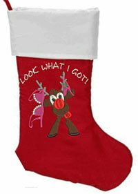 Look what I got Christmas stocking-Elf, Christmas stockings, plush stockings, Christmas, embroidered, stocking