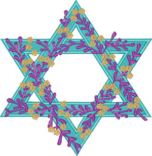 Beautiful Star of David-Star, David, Judaism, machine embroidery, religion, faith