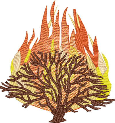 Burning bush-Burning Bush, Moses, Christian, Judaism, religion, religious