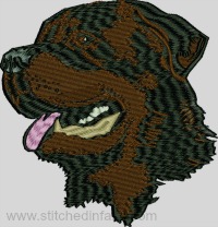 Rottweiler-Rottweiler, dog, Rottweiler dog, machine embroidery, Rottweiler embroidery, stitchedinfaith.com